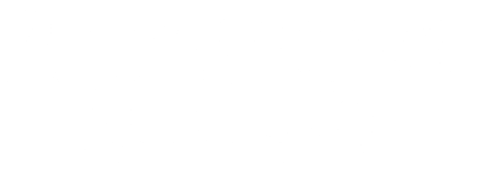Snow Shoveling Book Fair