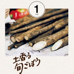 F&C_monthly_A5_1_B_151226ol